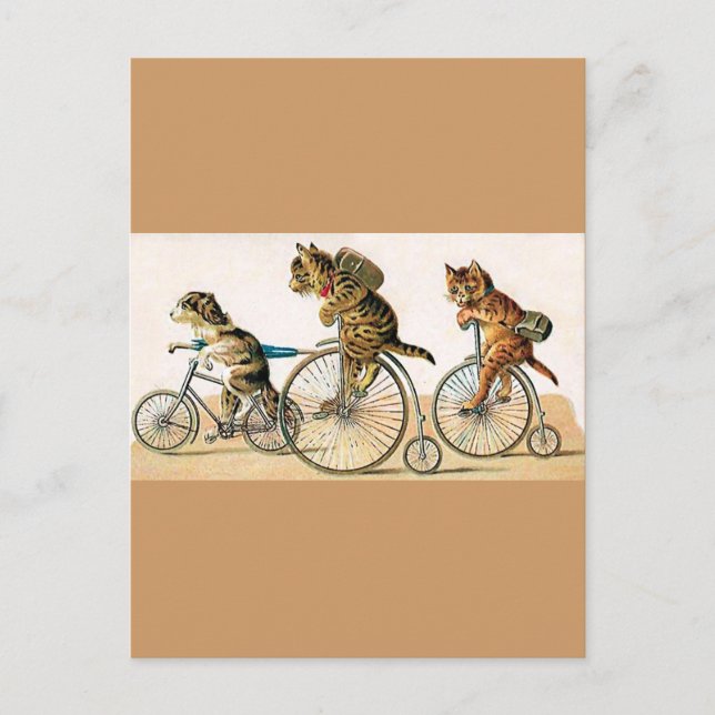 Bicycle Ride Postcard (Front)