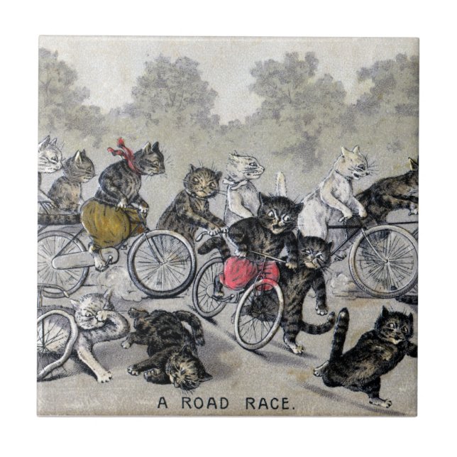 Bicycle Riding Cats Tile (Front)