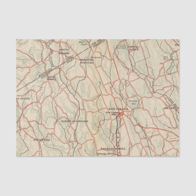 Bicycle Roads in New York and Conneticut 5 Tissue Paper (Front)
