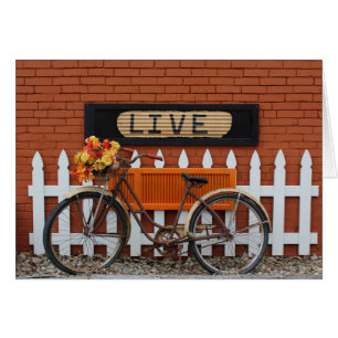 Bicycle Still Life Live