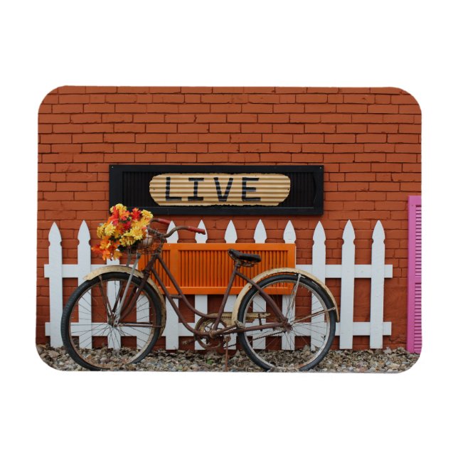 Bicycle Still Life Live Magnet (Horizontal)