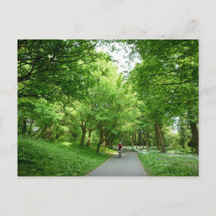 Bicycle Trail Postcard