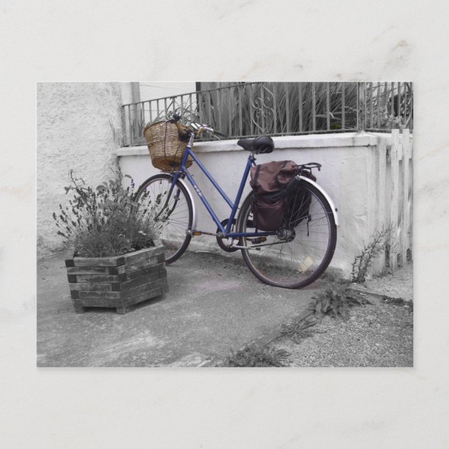 Bicycle with basket - Isle of Mull Postcard (Front)