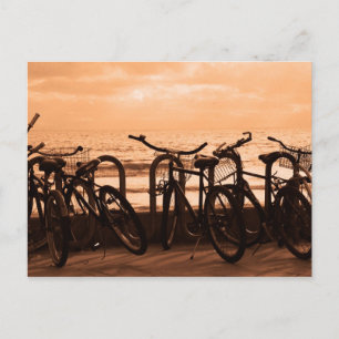 "Bicycles" Postcard