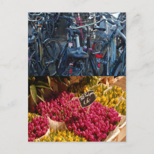 Bicycles Postcard