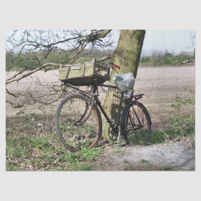 BICYCLES TISSUE PAPER (Front)