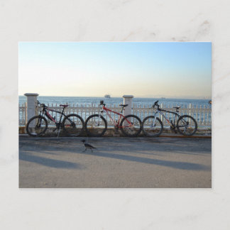 Bicycles with a Crow Postcard