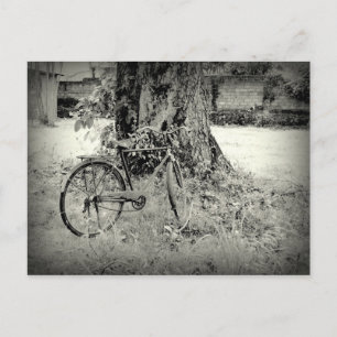 Bicyle under a tree postcard