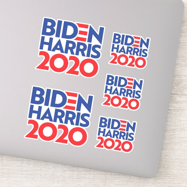 BIDEN HARRIS 2020 (Detail)