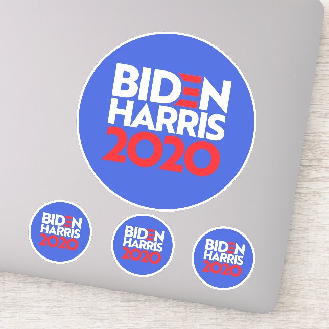 BIDEN HARRIS 2020 (Detail)