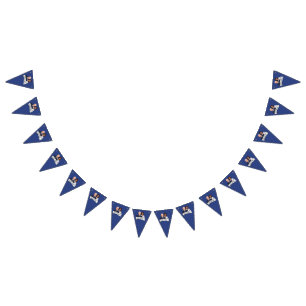 Biden Harris Party Bunting