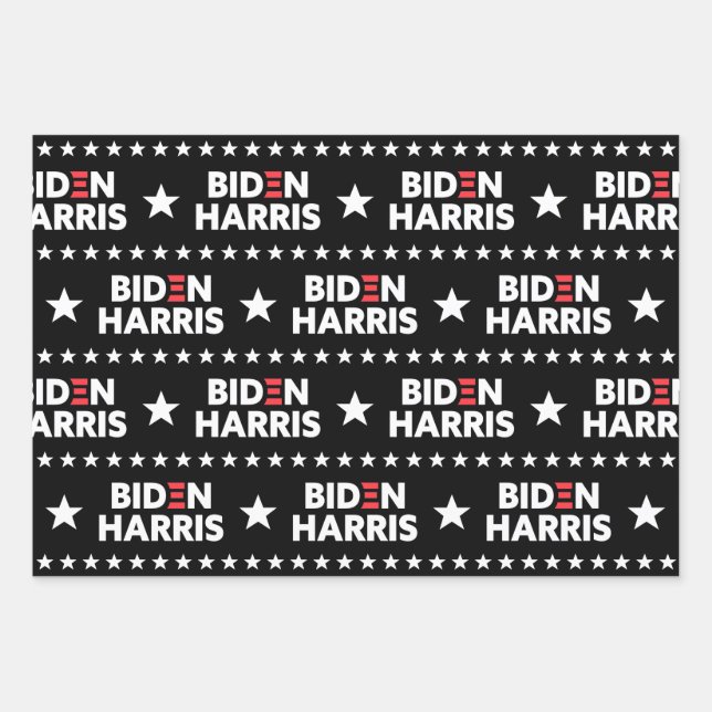 Biden / Harris Stars Pattern Black and White Wrapping Paper Sheet (Front)