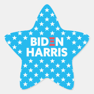 Biden / Harris White Stars Pattern Light Blue Star Sticker