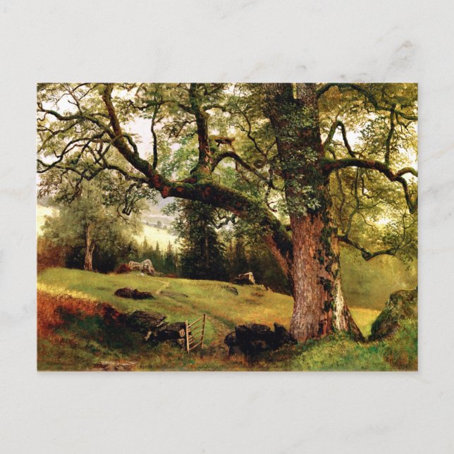 Bierstadt - A Trail through the Trees Postcard (Front)