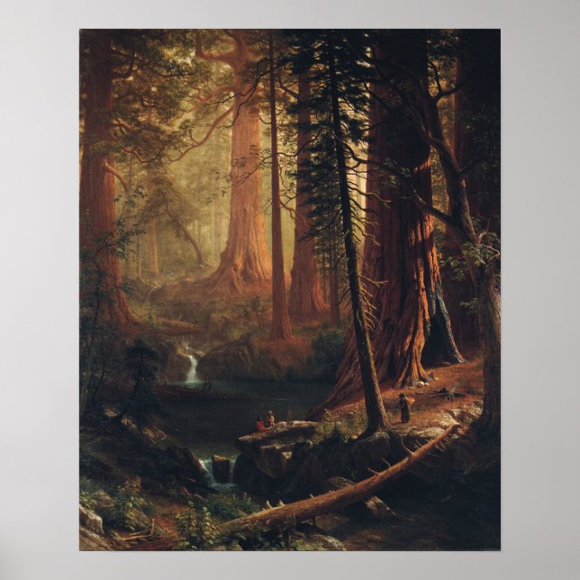 Bierstadt - Giant Redwood Trees Of California Poster (Front)