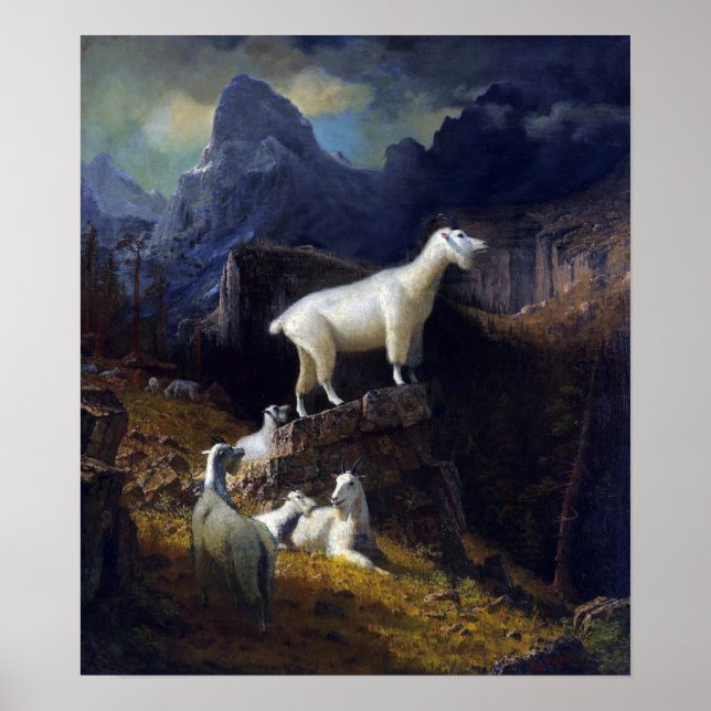 Bierstadt - Rocky Mountain Goats Poster (Front)