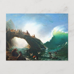 Bierstadt San Francisco Seals Postcard