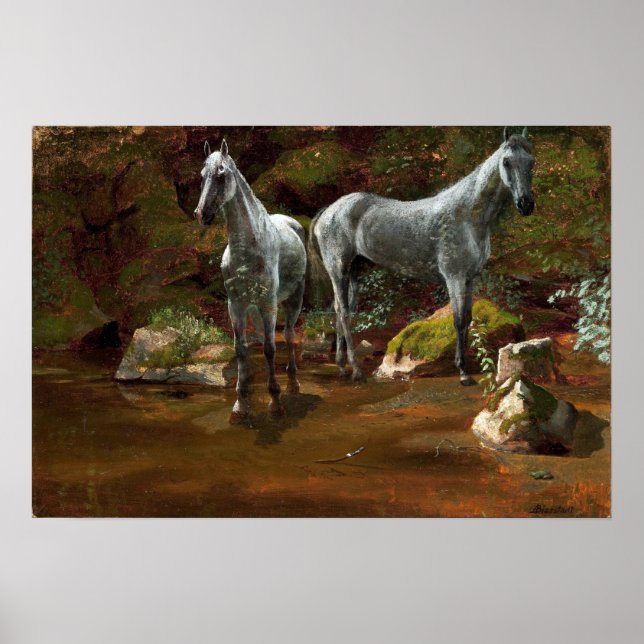 Bierstadt - Study Of Wild Horses Poster (Front)