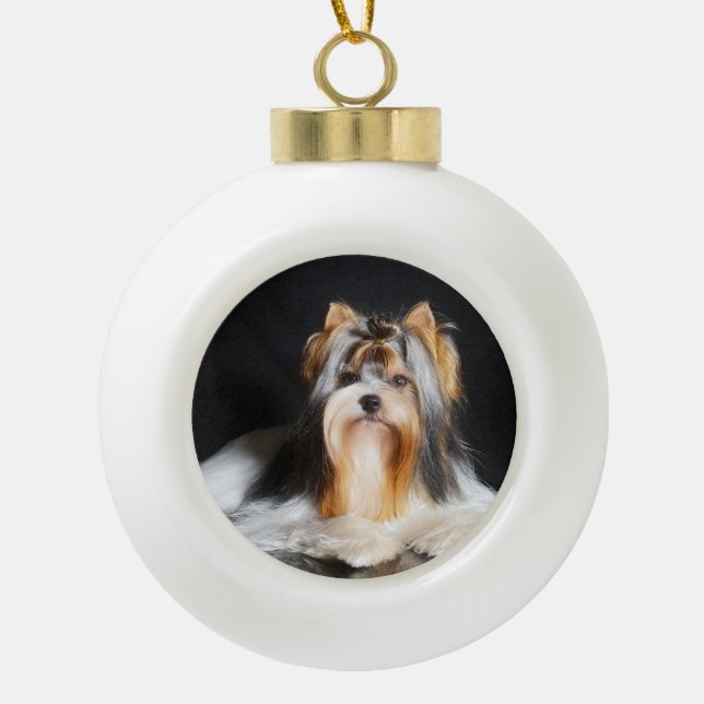 Biewer Terrier Christmas Ornament (Front)