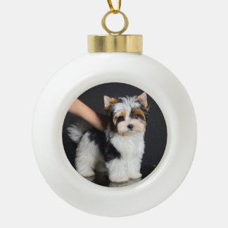 Biewer Terrier Christmas Ornament