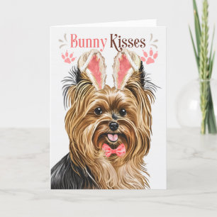 Biewer Terrier Dog in Bunny Ears for Easter Holiday Card