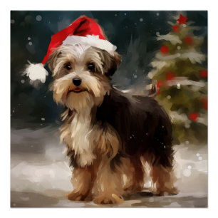 Biewer Terrier Dog in Snow Christmas  Poster