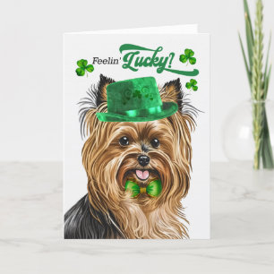 Biewer Terrier Dog Lucky St Patrick's Day Holiday Card