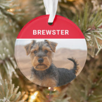 Biewer Terrier Dog's Name and Photo Christmas