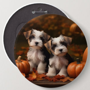 Biewer Terrier Puppy Autumn Delight Pumpkin  6 Cm Round Badge