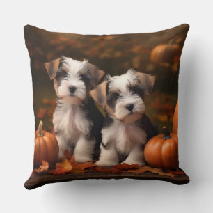 Biewer Terrier Puppy Autumn Delight Pumpkin  Cushion
