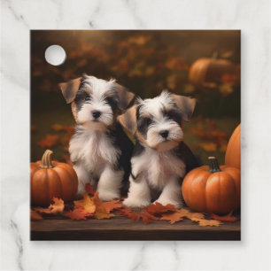 Biewer Terrier Puppy Autumn Delight Pumpkin  Favour Tags