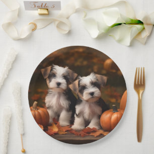 Biewer Terrier Puppy Autumn Delight Pumpkin  Paper Plate