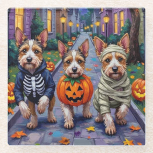 Biewer Terrier Trick-or-Treating Halloween Costume Glass Coaster