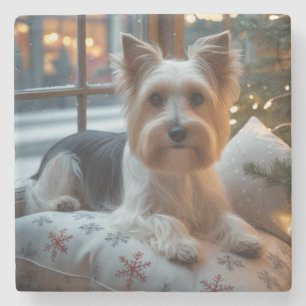Biewer Terrier With Christmas Lights Holiday Stone Coaster