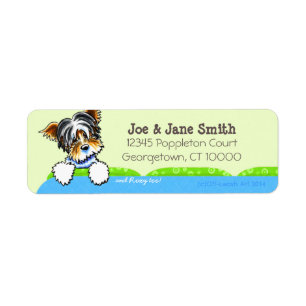 Biewer Yorkie Blue Couch Pet Name Personalised