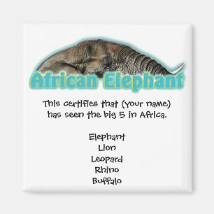 Big 5 Africa wildlife safari magnets