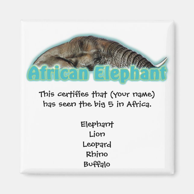 Big 5 Africa wildlife safari magnets (Front)