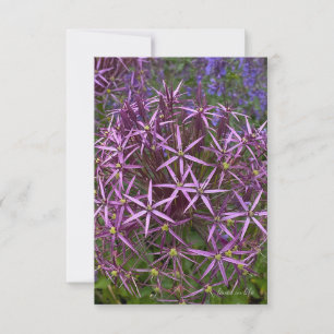 Big Allium Head Card