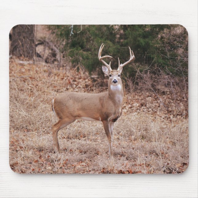 Big and Beautiful Buck Deer Antlers in Winter Mouse Mat (Front)
