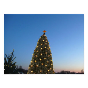 Big and Little Christmas Trees I Holiday Sunset Photo Print