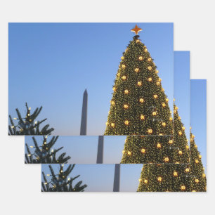 Big and Little Christmas Trees II Holiday in DC Wrapping Paper Sheet