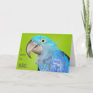 Big and Loveable Card