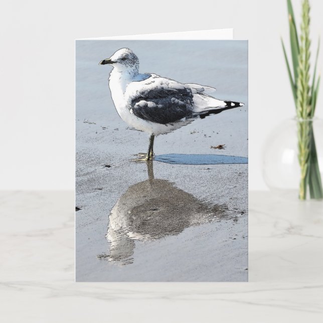 Big Baby Seagull - Blank Greeting Card (Front)