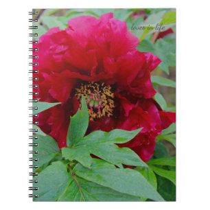 Big Bashful Burgundy Notebook
