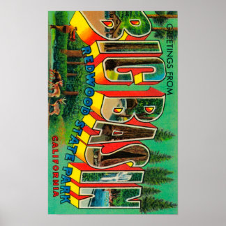 Big Basin, California - Large Letter Scenes Poster
