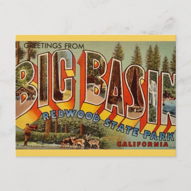 Big Basin Redwood Park Postcard (Front)