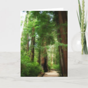 Big Basin Redwoods Thank You Card