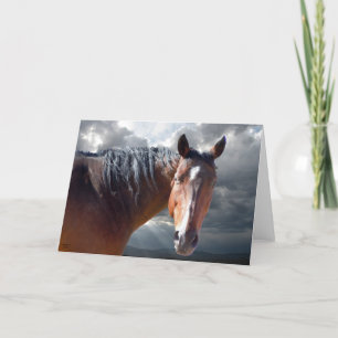 Big Bay American Quarter Horse - Blank Inside Card