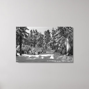 Big Bear Lake, CA in the Winter Snow View Canvas Print