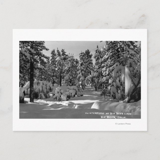 Big Bear Lake, CA in the Winter Snow View Postcard (Front)